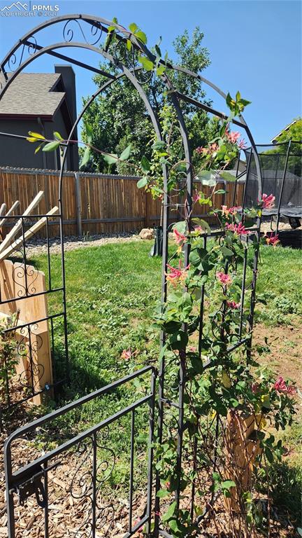 Image 28 of 36: Garden