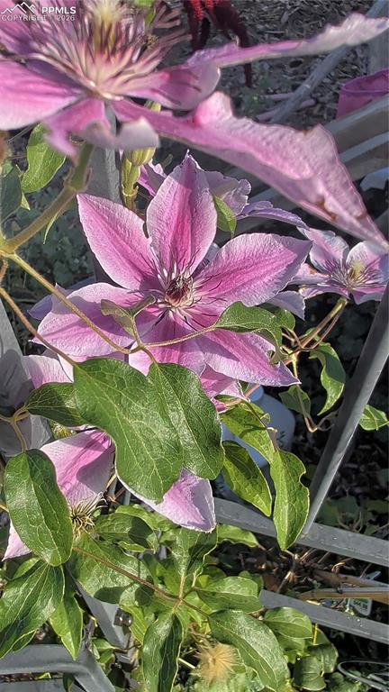 Image 29 of 36: Other