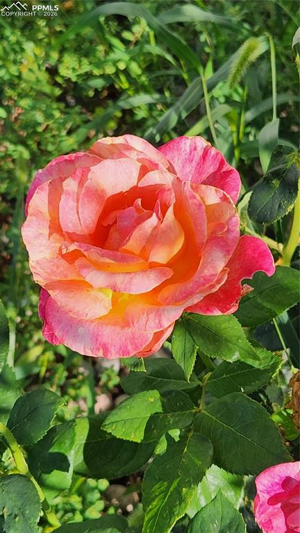 Image 31 of 36: Other