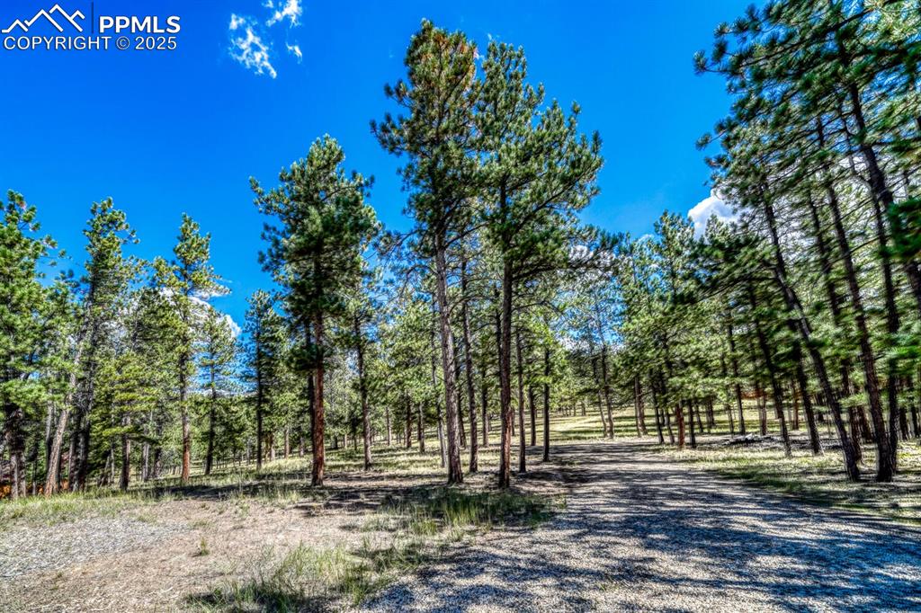 Image 30 of 30: Community