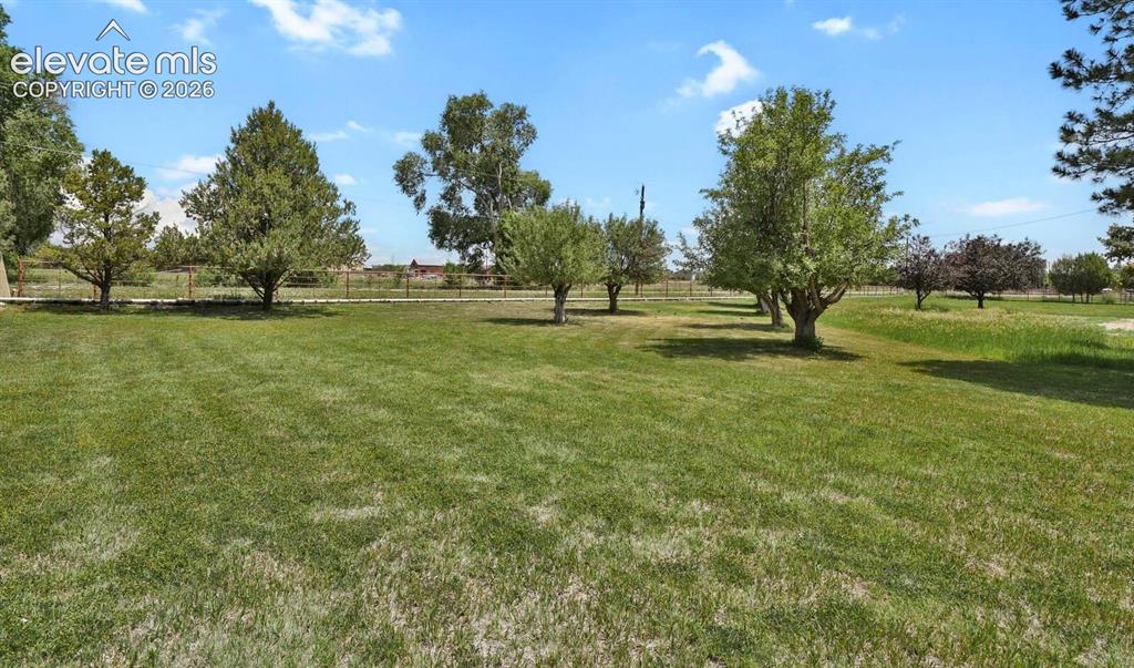 Image 4 of 10: Field