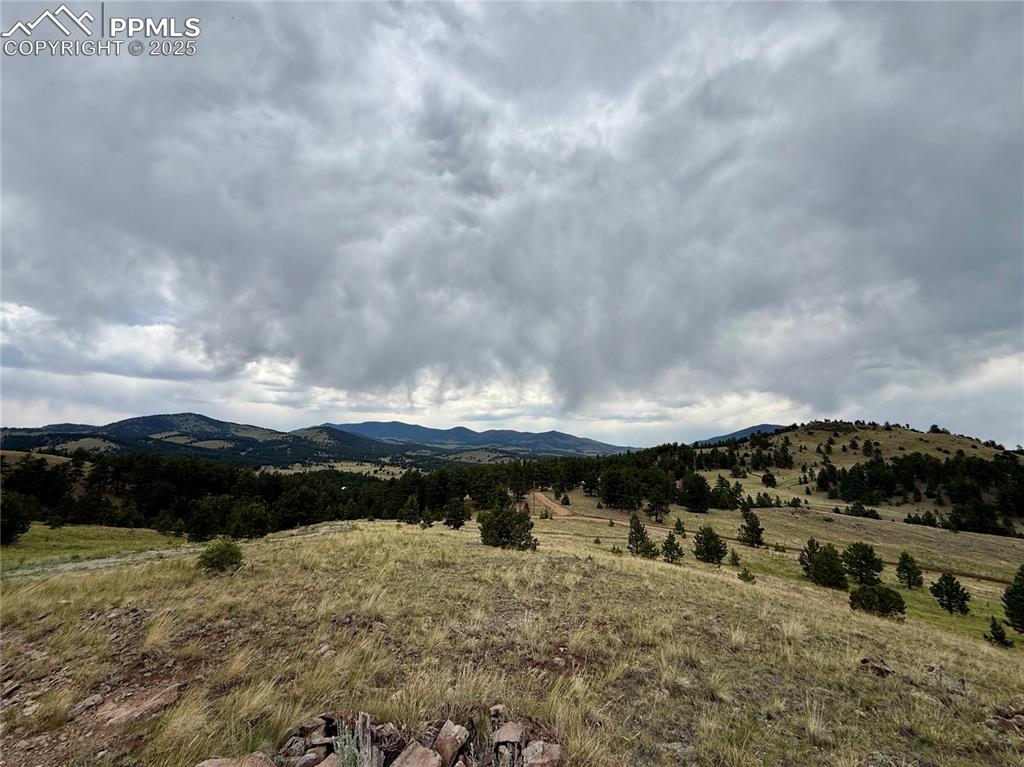 Image 11 of 34: View