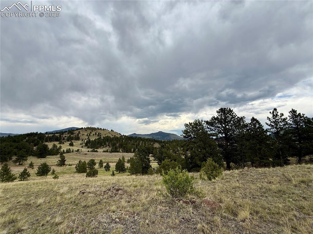 Image 12 of 34: View