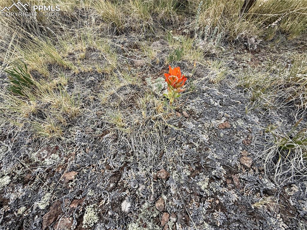 Image 15 of 34: Other