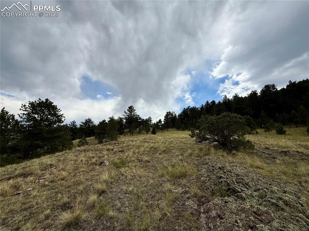 Image 17 of 34: Other