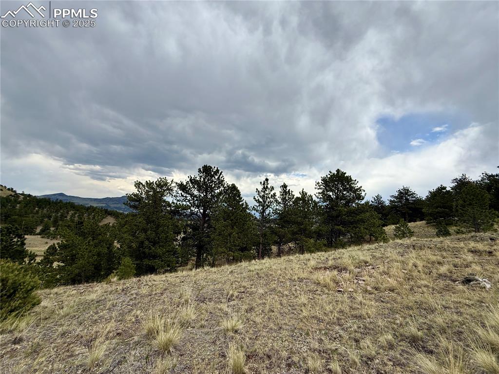 Image 18 of 34: Other