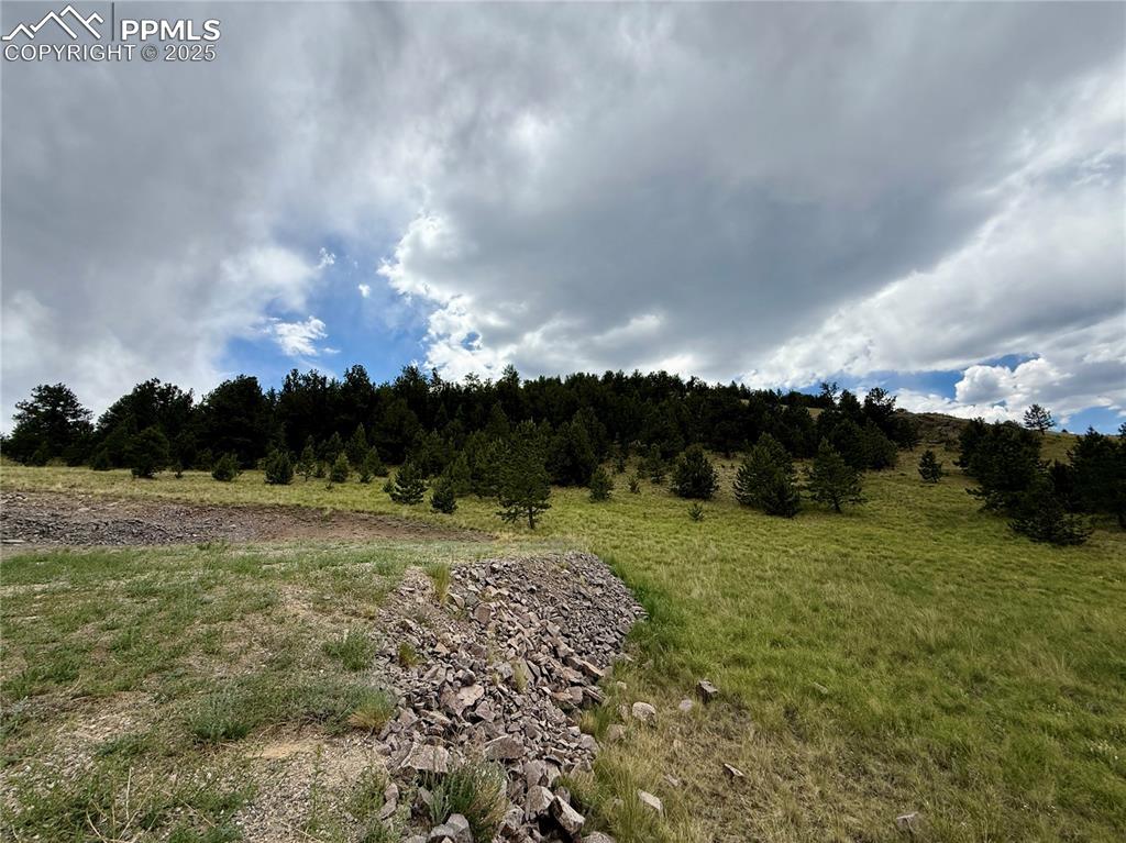 Image 20 of 34: Other