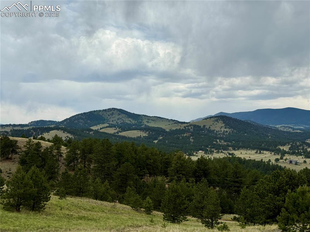 Image 24 of 34: View