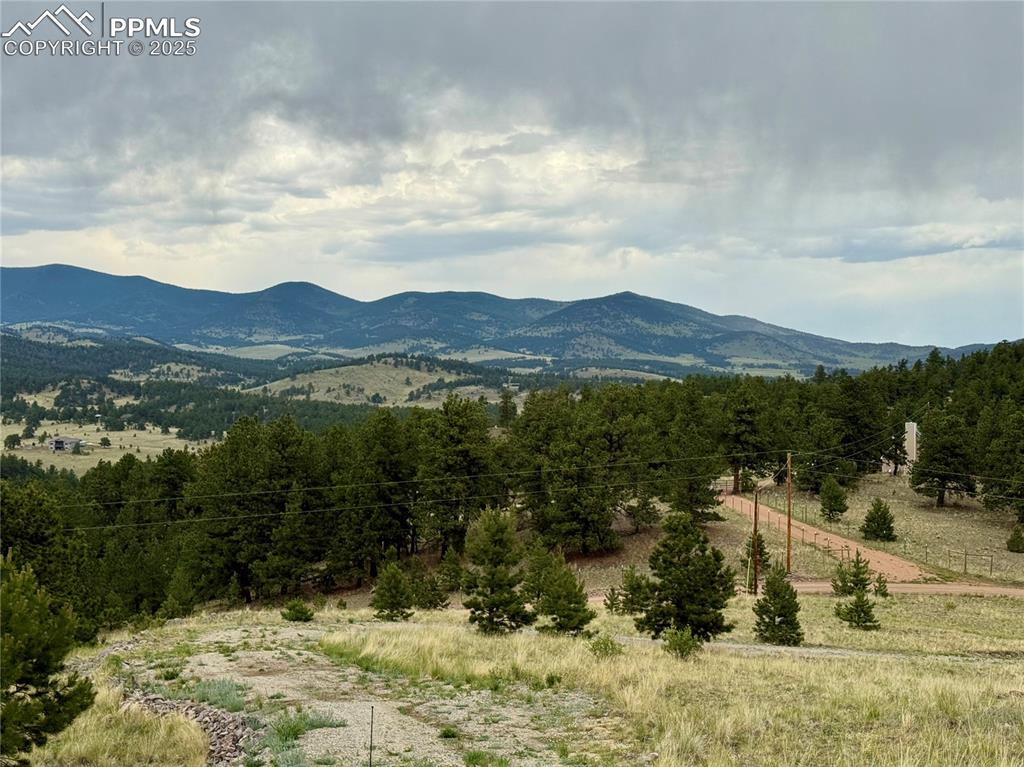 Image 29 of 34: View