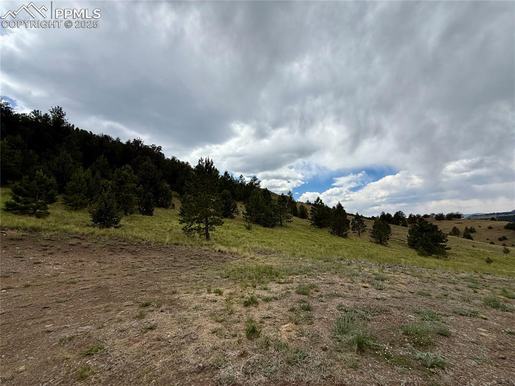 Image 8 of 34: Other