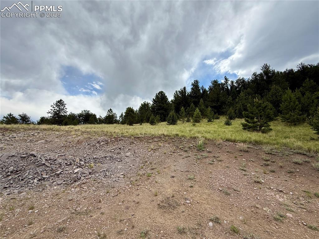 Image 9 of 34: Other