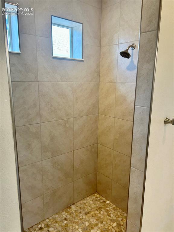 Image 20 of 38: Primary shower