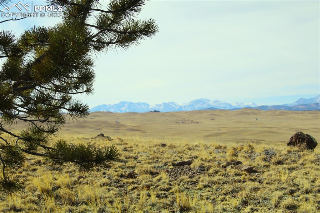Image 11 of 17: View