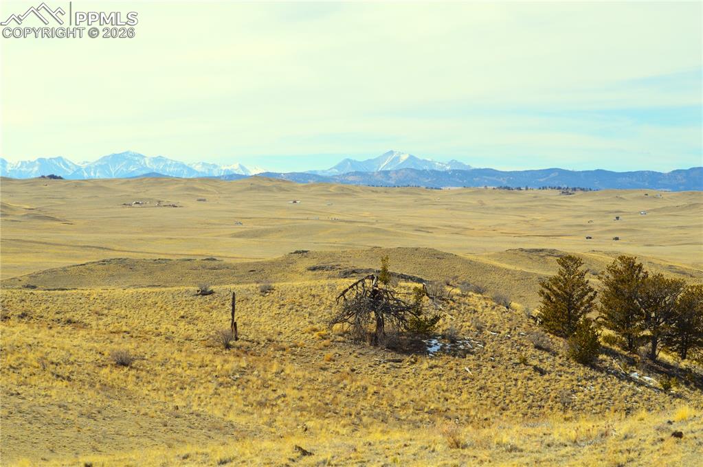 Image 14 of 17: View