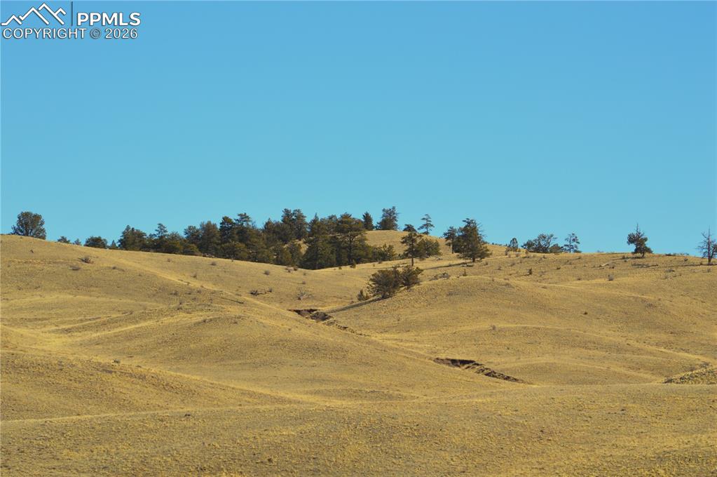Image 15 of 17: Other