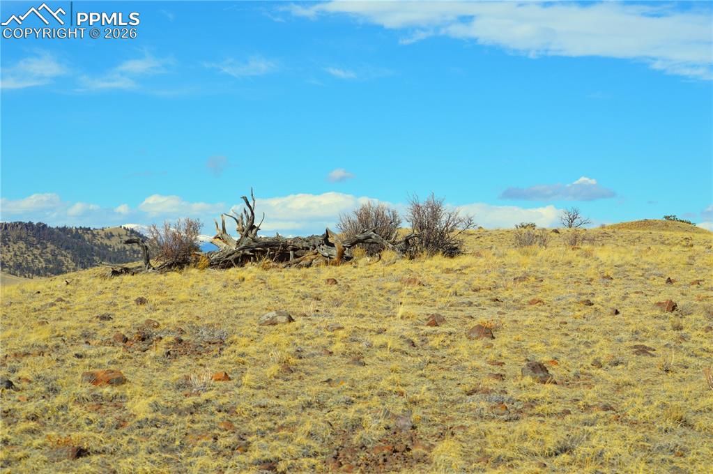 Image 4 of 10: Other