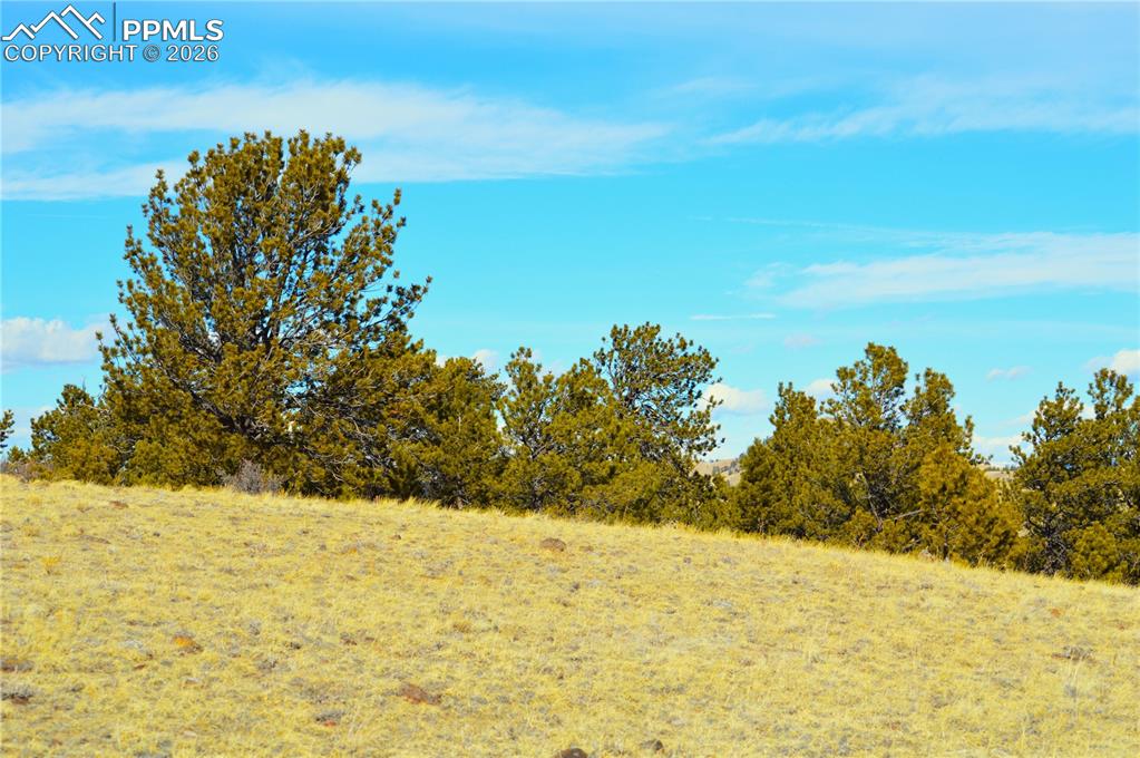 Image 5 of 10: Other