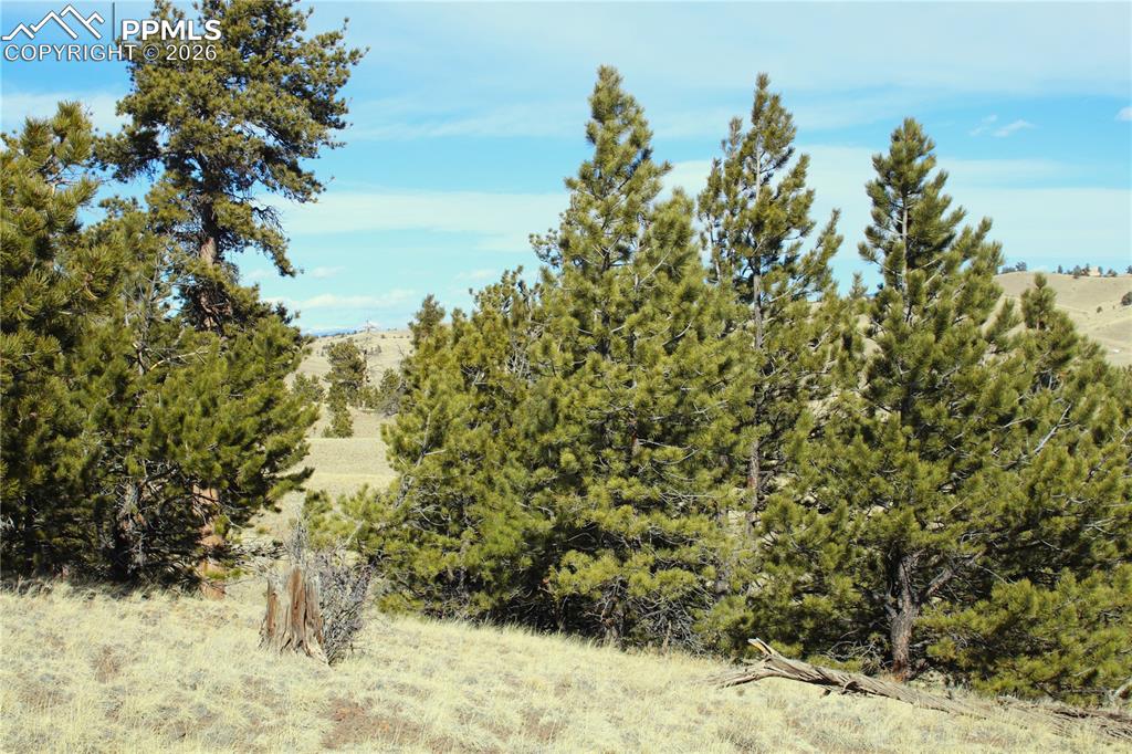 Image 7 of 10: Other