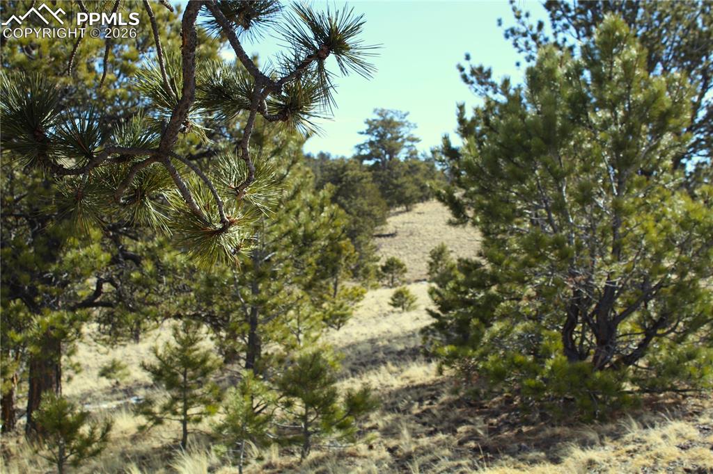 Image 8 of 10: Other