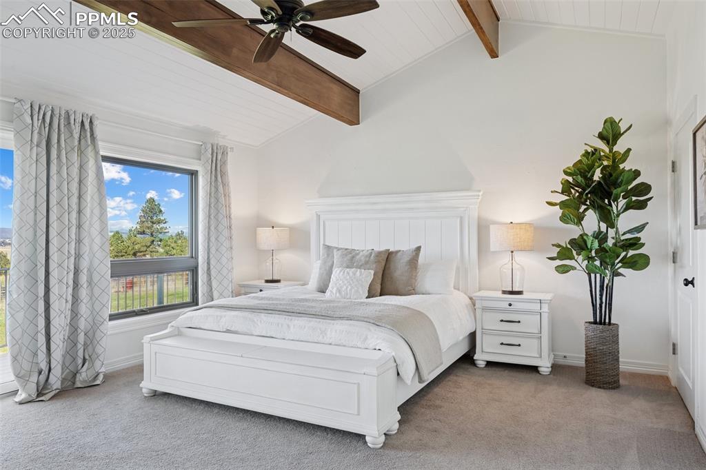 Image 15 of 49: Owner