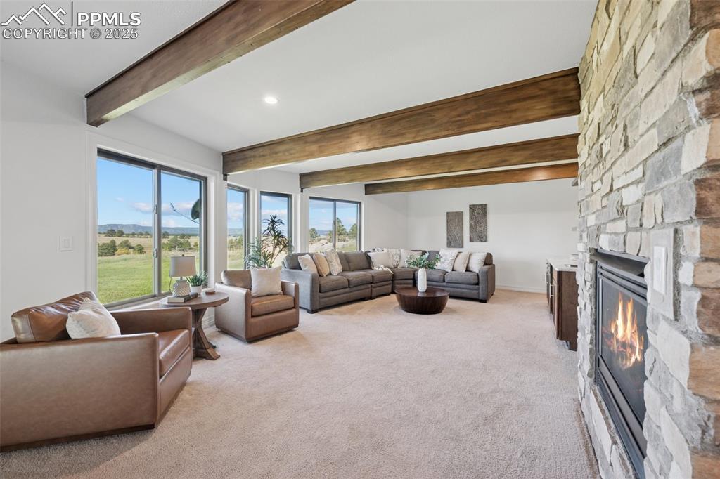 Image 19 of 49: Walkout 