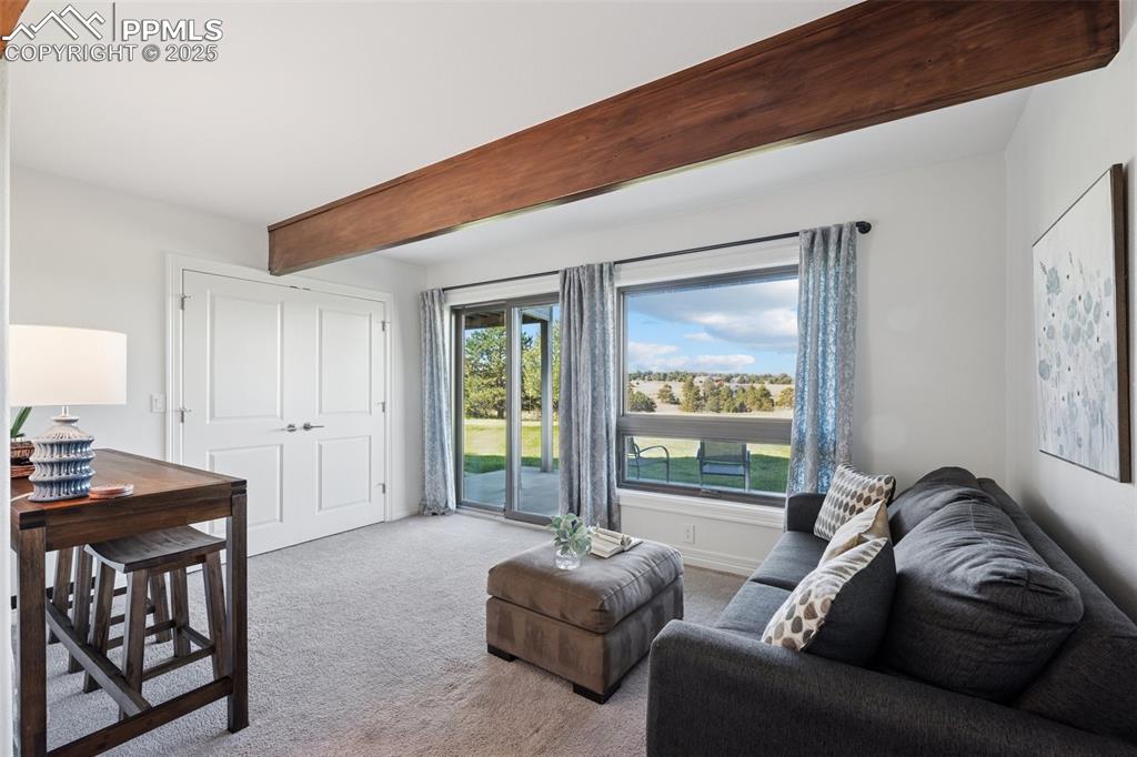 Image 25 of 49: Lower level - Walkout Bedroom Suite