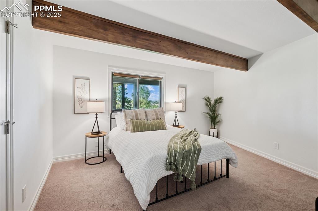 Image 29 of 49: Lower Level - 3rd Bedroom