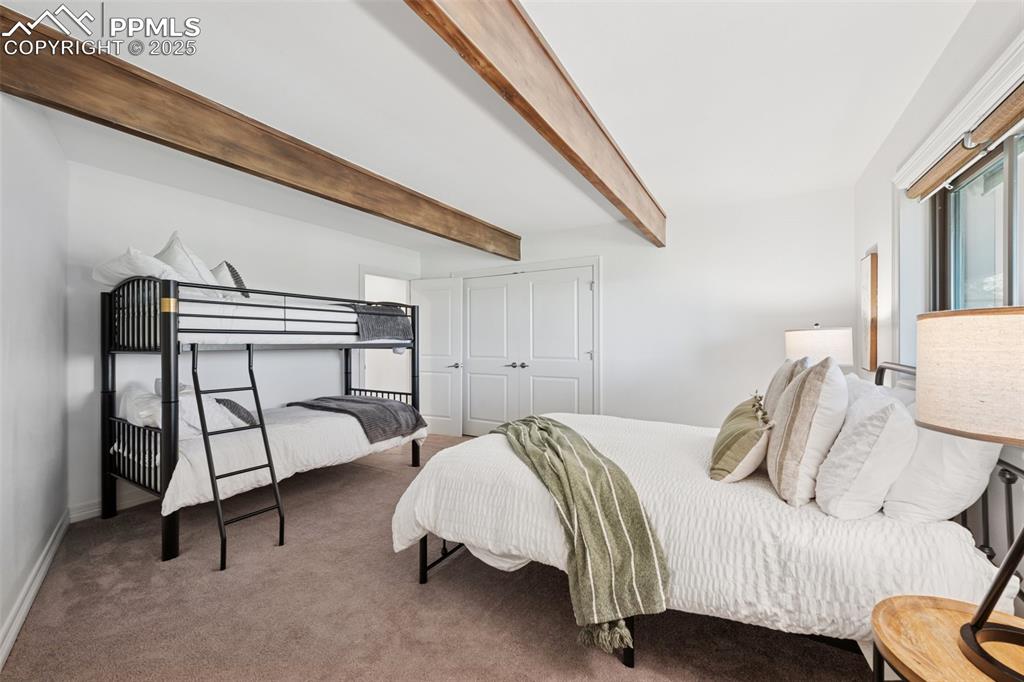 Image 30 of 49: Lower Level - 3rd Bedroom