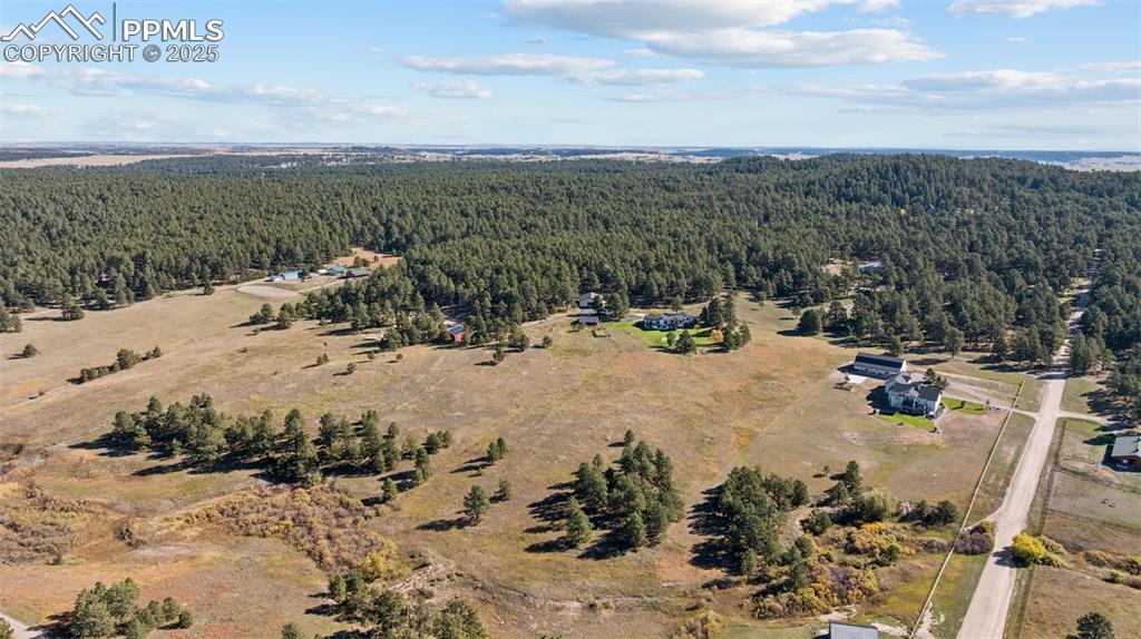 Image 46 of 49: Bird