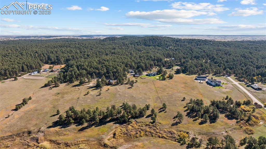 Image 47 of 49: Drone / aerial view of a forest