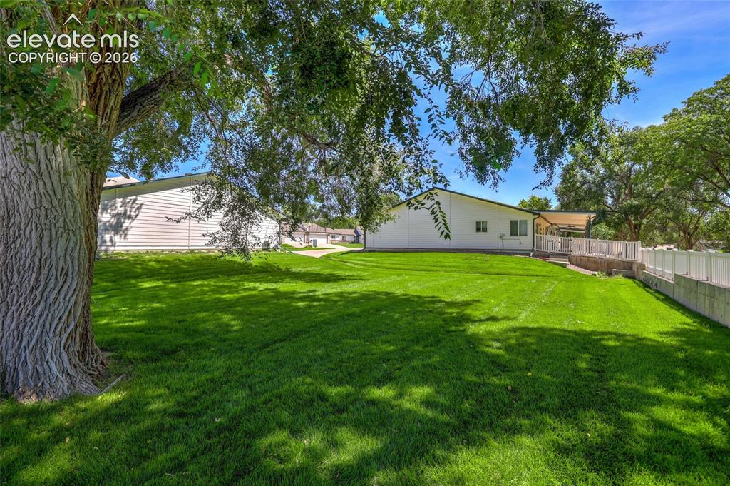 Image 42 of 45: Expansive grassy yard with mature trees