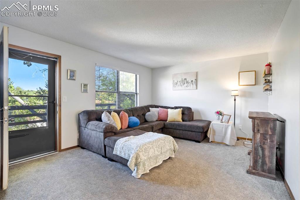 Image 11 of 35: Living room featuring carpet and a textured ceiling