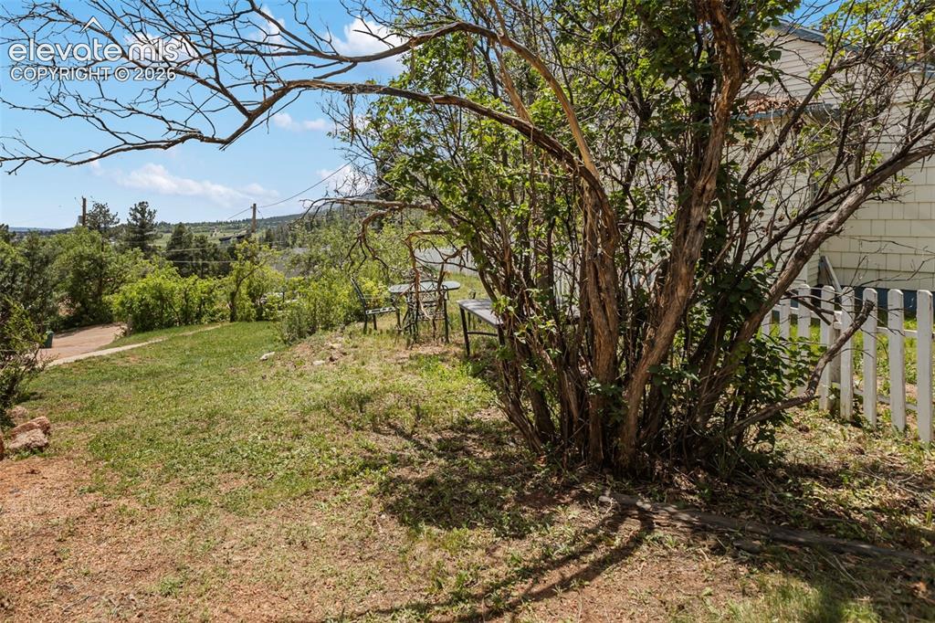 Image 40 of 47: Yard