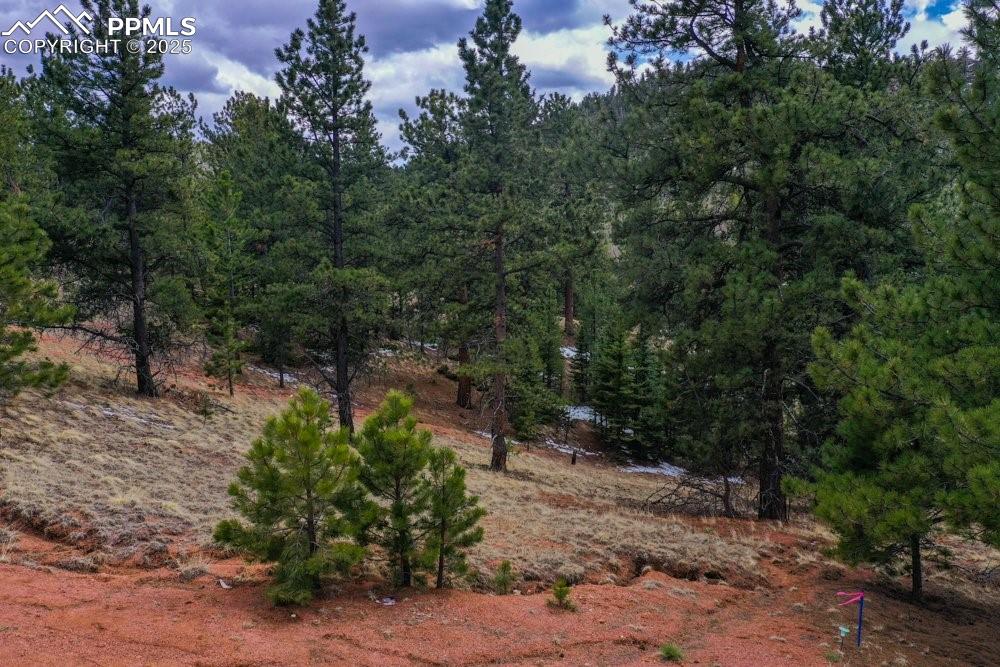 Image 13 of 39: View of landscape featuring a wooded view