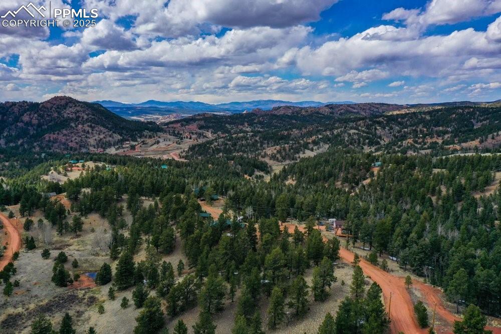 Image 15 of 39: Bird