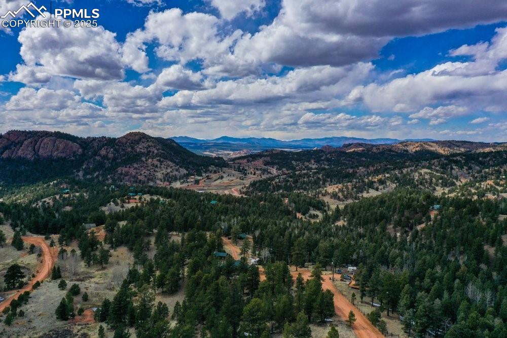 Image 17 of 39: Property view of mountains with a forest view