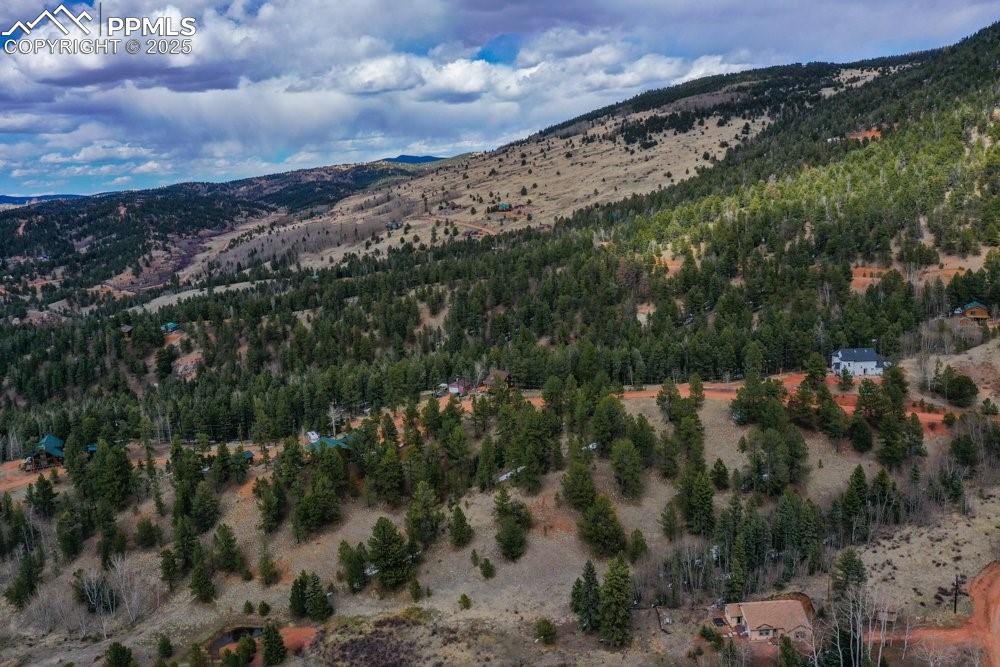 Image 22 of 39: Mountain view with a forest view