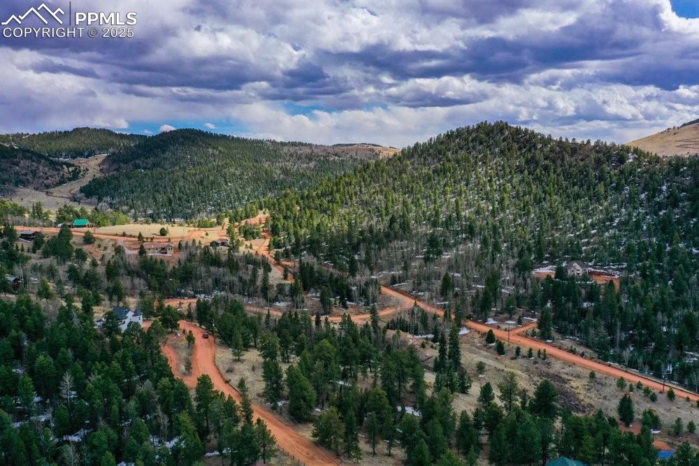 Image 25 of 39: Mountain view featuring a forest view