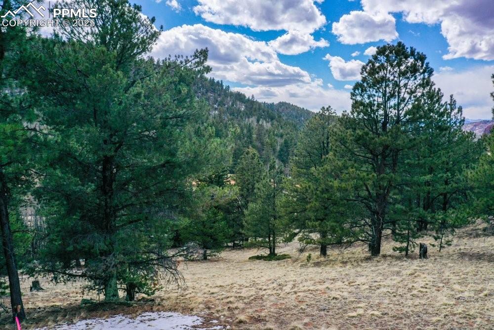 Image 30 of 39: Property view of mountains featuring a view of trees