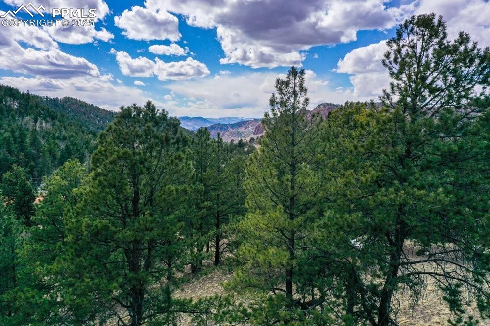 Image 31 of 39: Property view of mountains featuring a view of trees