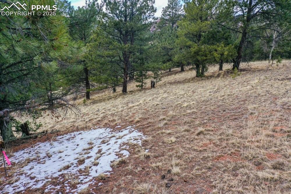 Image 32 of 39: View of landscape