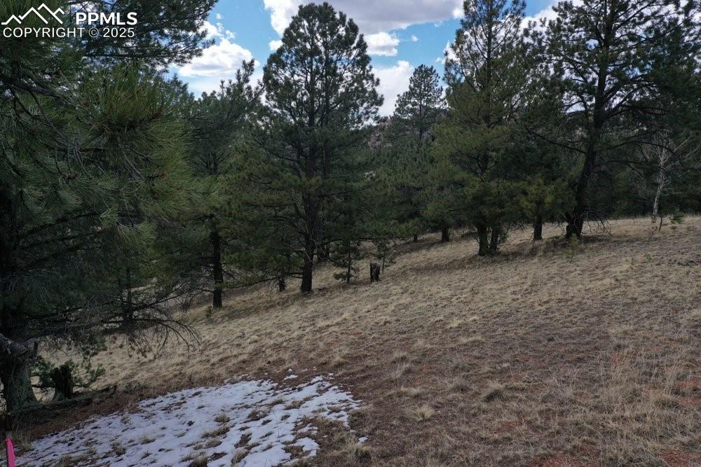 Image 33 of 39: View of landscape