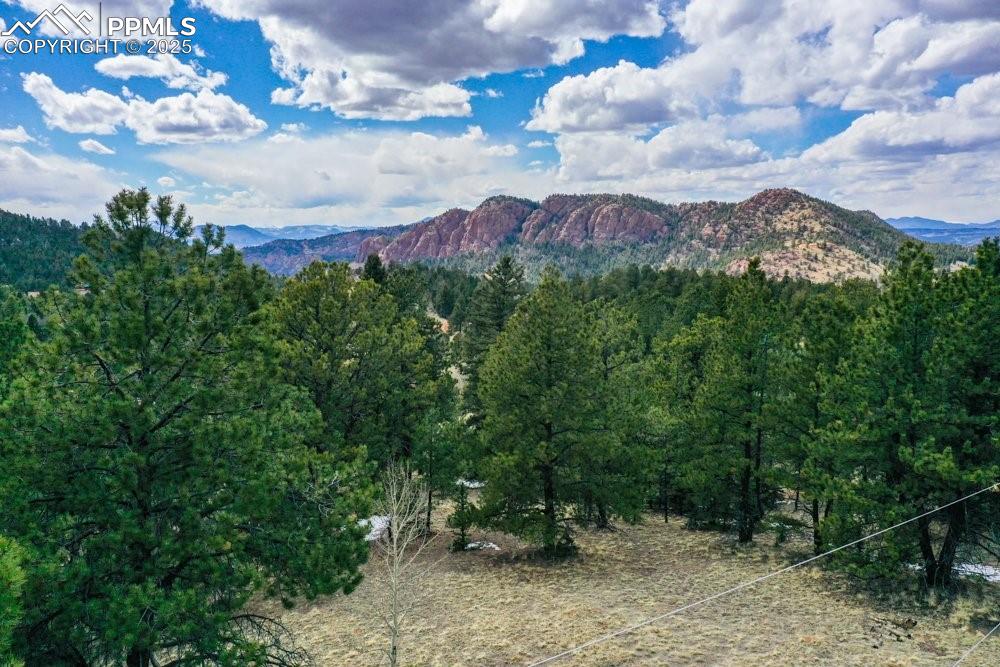 Image 34 of 39: Property view of mountains with a wooded view
