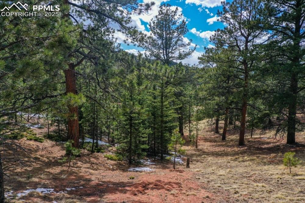Image 5 of 39: View of landscape with a wooded view