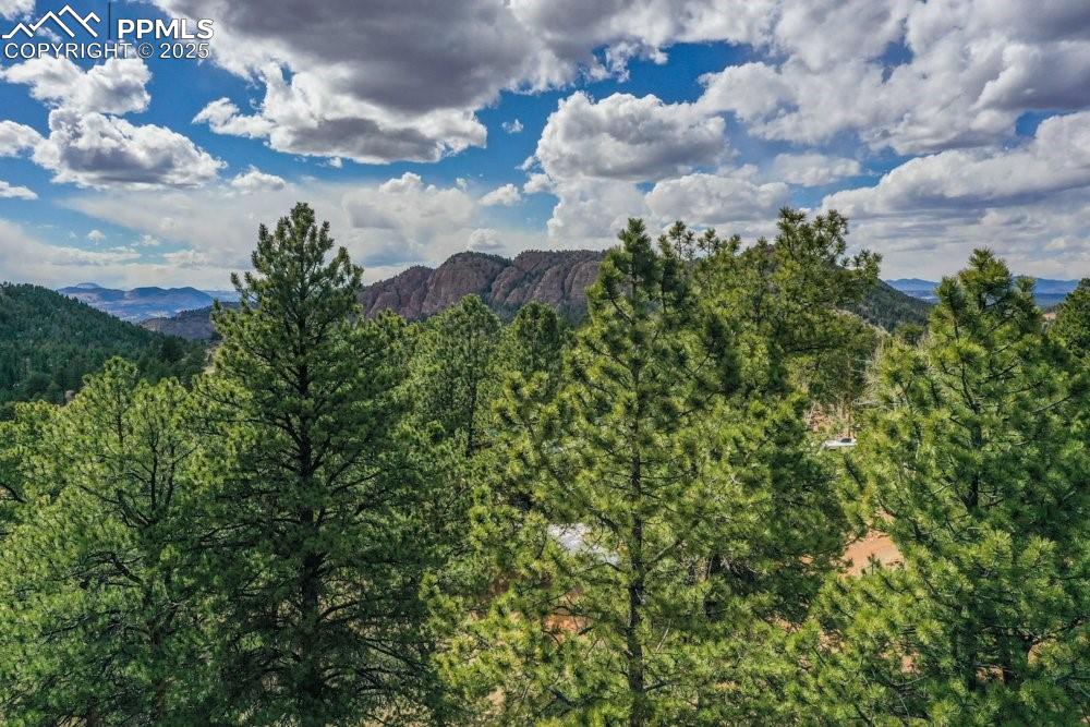 Image 8 of 39: View of mountain feature with a view of trees