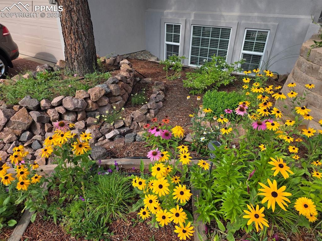 Image 43 of 50: Back of Structure