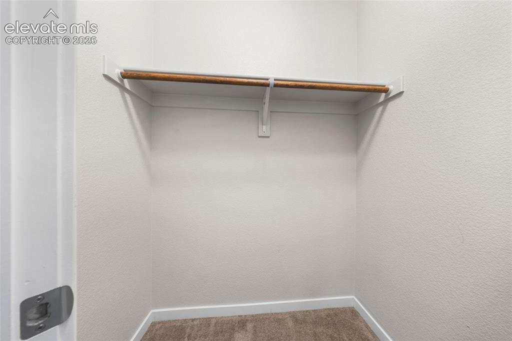 Image 22 of 39: Spacious secondary bedroom with direct access to a convenient Jack-and-Jill