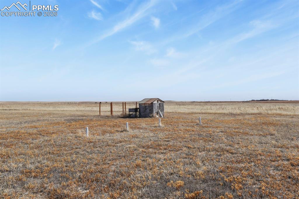 Image 28 of 39: Yard