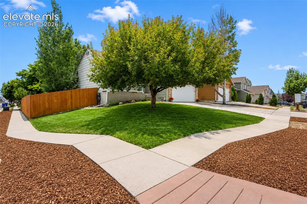 Image 44 of 49: Side yard
