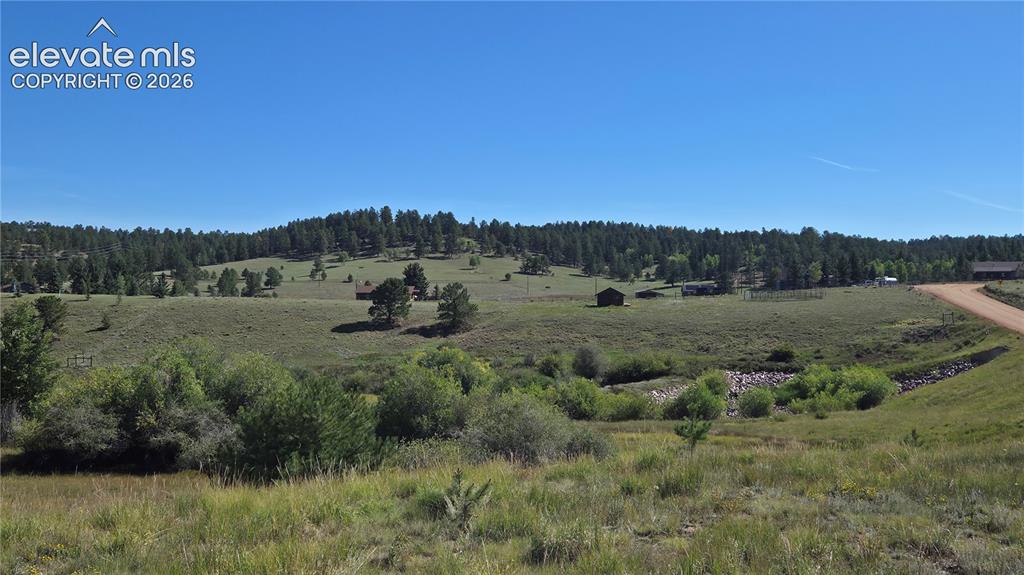 Caption: Expansive natural landscape featuring rolling hills and abundant mature trees